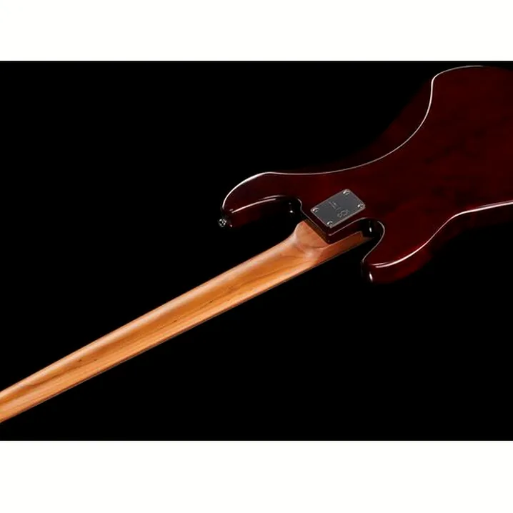 Basso elettrico Marcus Miller P5 Alder-5 TS / Recensione, Confronto, Test