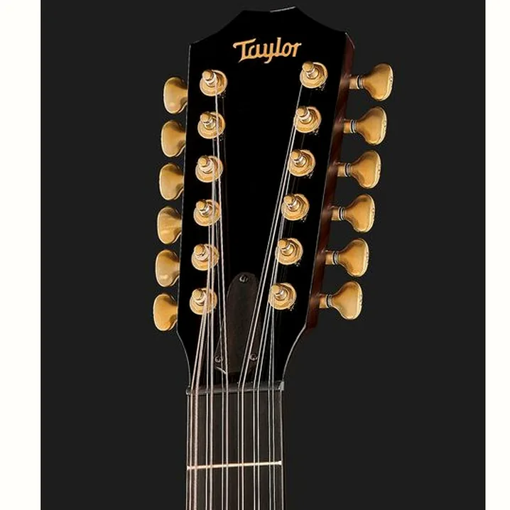 Chitarra acustica Taylor Custom #37 GC Test, Confronto e Recensioni