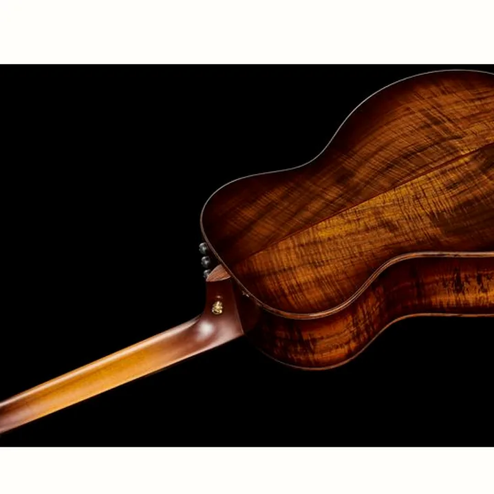 Chitarra acustica Taylor Custom #37 GC Test, Confronto e Recensioni