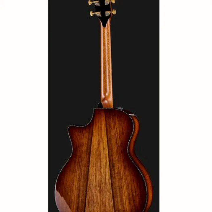 Chitarra acustica Taylor PS14ce Presentation / Recensione, Confronto, Test