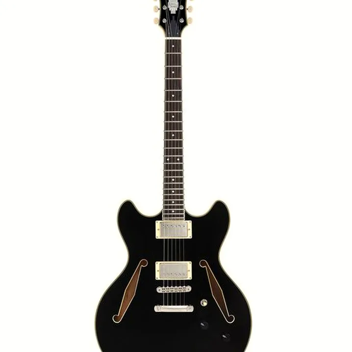 Chitarra elettrica DAngelico Excel DC Tour Solid Black, Recensione, Test, Confronto
