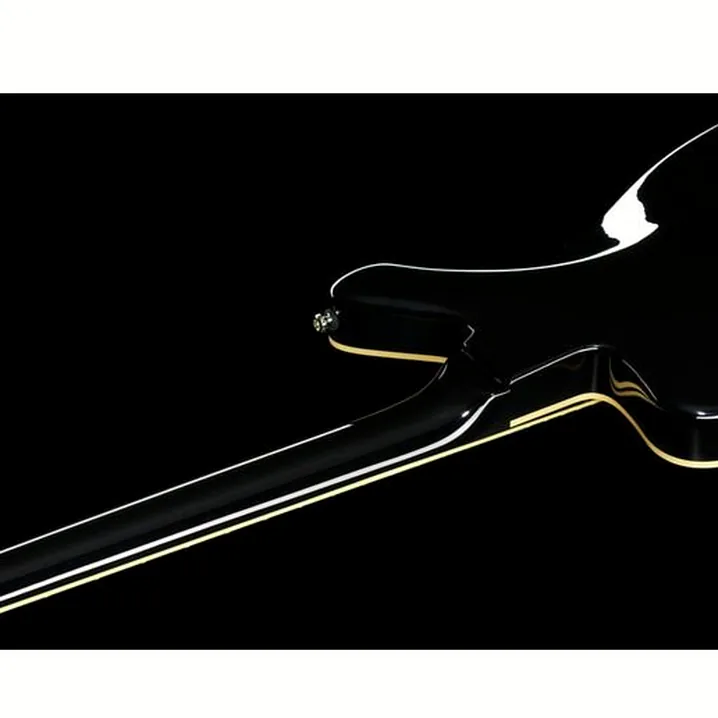 Chitarra elettrica Duesenberg Paloma RS Test, Confronto & Recensioni