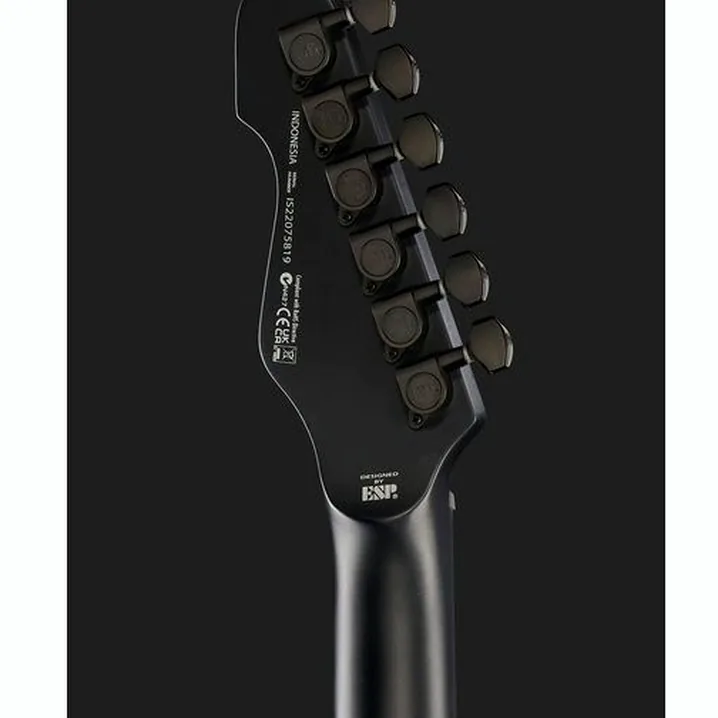 Chitarra elettrica ESP LTD TE-201 Black Satin, Recensione, Test, Confronto