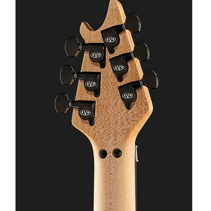 Chitarra elettrica Evh Wolfgang USA EVH Signature BK Recensione, Test e Confronto