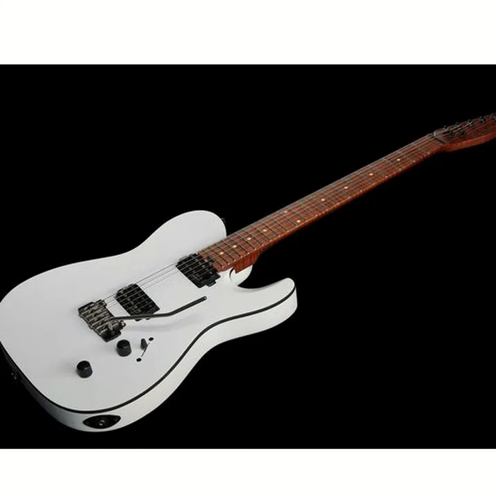 Chitarra elettrica Harley Benton Fusion-T HH Roasted SW, Recensione, Test, Confronto