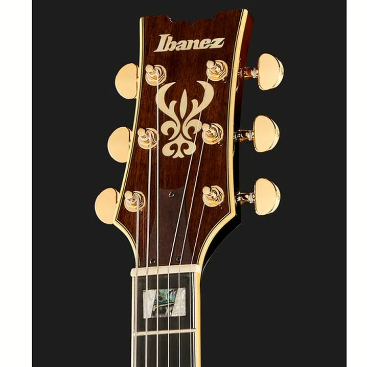 Chitarra elettrica Ibanez AM153QA-DBS, Recensione, Test, Confronto