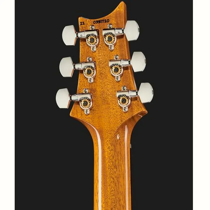 Chitarra elettrica PRS Custom 24 YI / Prova, Confronto, Recensione