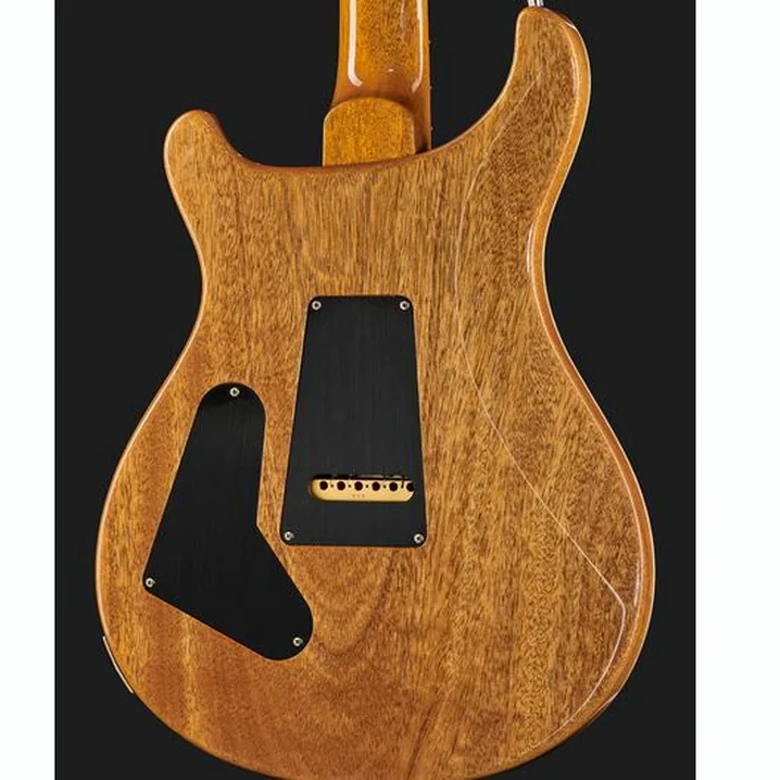 Chitarra elettrica PRS Custom 24 YI / Prova, Confronto, Recensione