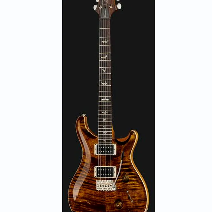 Chitarra elettrica PRS Custom 24 YI / Prova, Confronto, Recensione