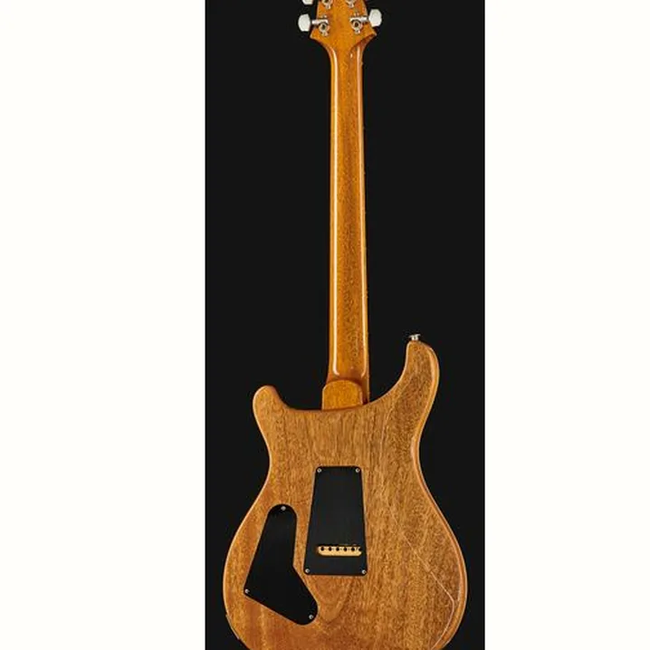 Chitarra elettrica PRS Custom 24 YI / Prova, Confronto, Recensione