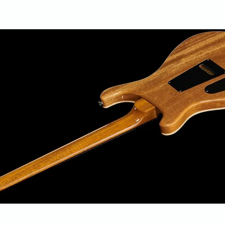 Chitarra elettrica PRS Custom 24 YI / Prova, Confronto, Recensione