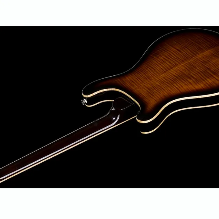 Chitarra elettrica PRS SE Hollowbody II Piezo BG Test, Confronto & Recensioni
