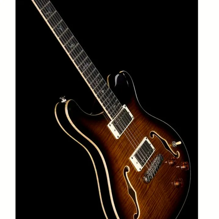Chitarra elettrica PRS SE Hollowbody II Piezo BG Test, Confronto & Recensioni