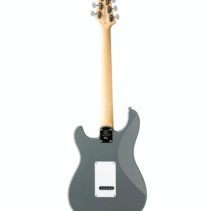 Chitarra elettrica PRS SE Silver Sky Storm Gray Recensione, Test e Confronto