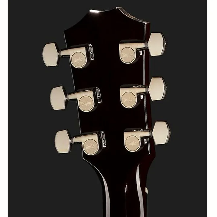 Chitarra elettrica Taylor T5z Pro CR, Recensione, Test, Confronto