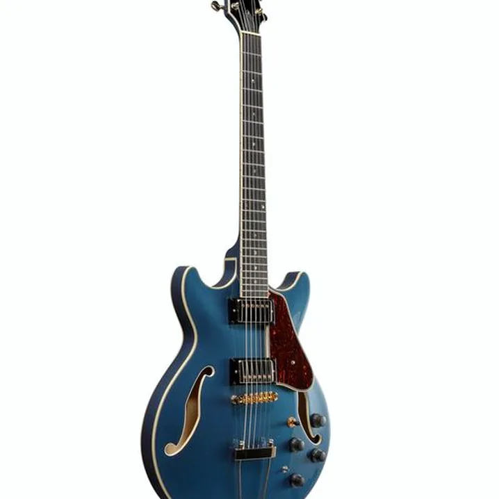 Chitarra Ibanez AMH90-PBM Test, Confronto e Recensioni