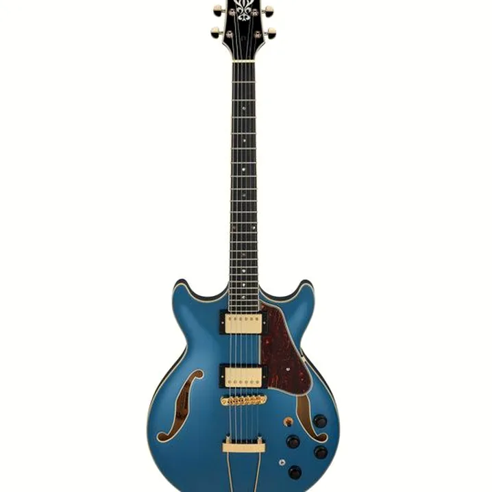 Chitarra Ibanez AMH90-PBM Test, Confronto e Recensioni