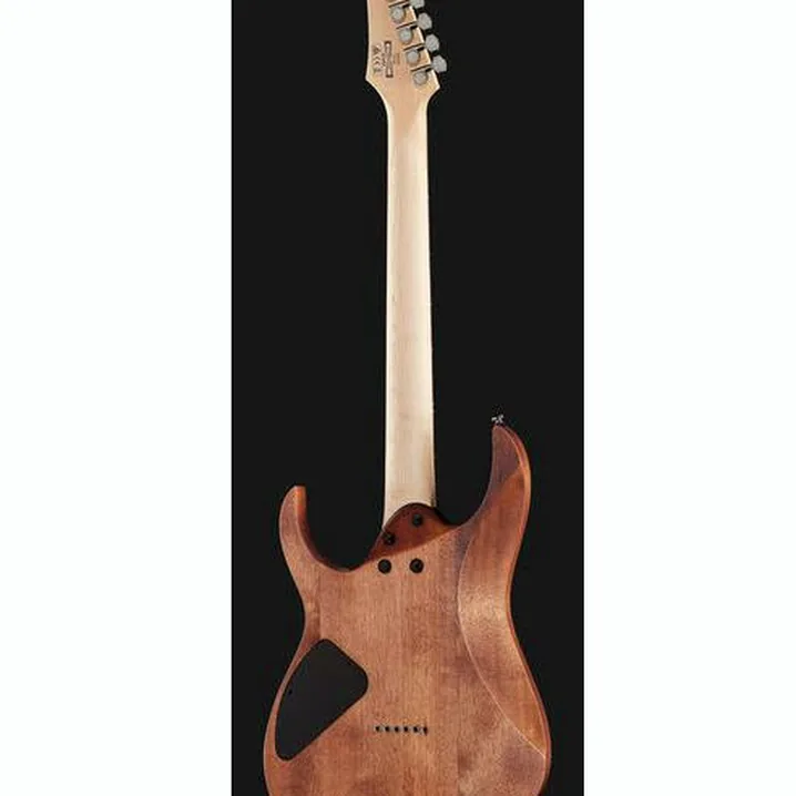 Chitarra Ibanez RG421-MOL – Recensione, Test, Confronto