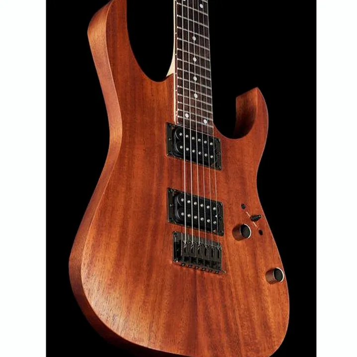 Chitarra Ibanez RG421-MOL – Recensione, Test, Confronto