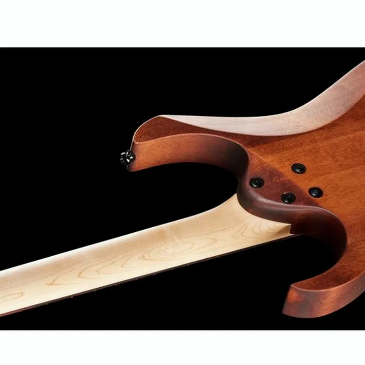 Chitarra Ibanez RG421-MOL – Recensione, Test, Confronto