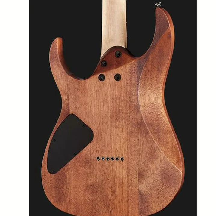 Chitarra Ibanez RG421-MOL – Recensione, Test, Confronto
