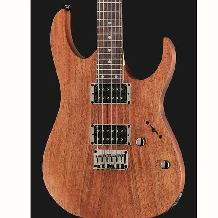 Chitarra Ibanez RG421-MOL – Recensione, Test, Confronto