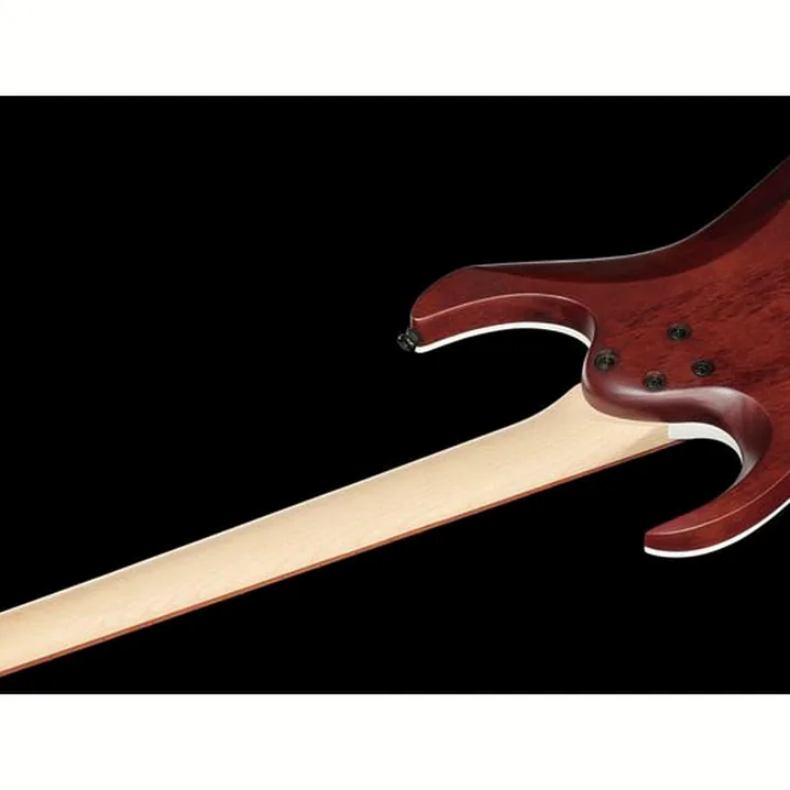 Chitarra Ibanez RGA42FM-DEF: Confronto, Test e Recensioni