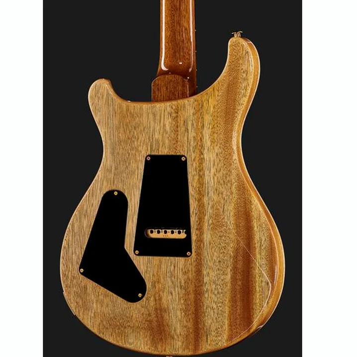 Chitarra PRS Custom 24/08 10 Top ER Recensione e Test