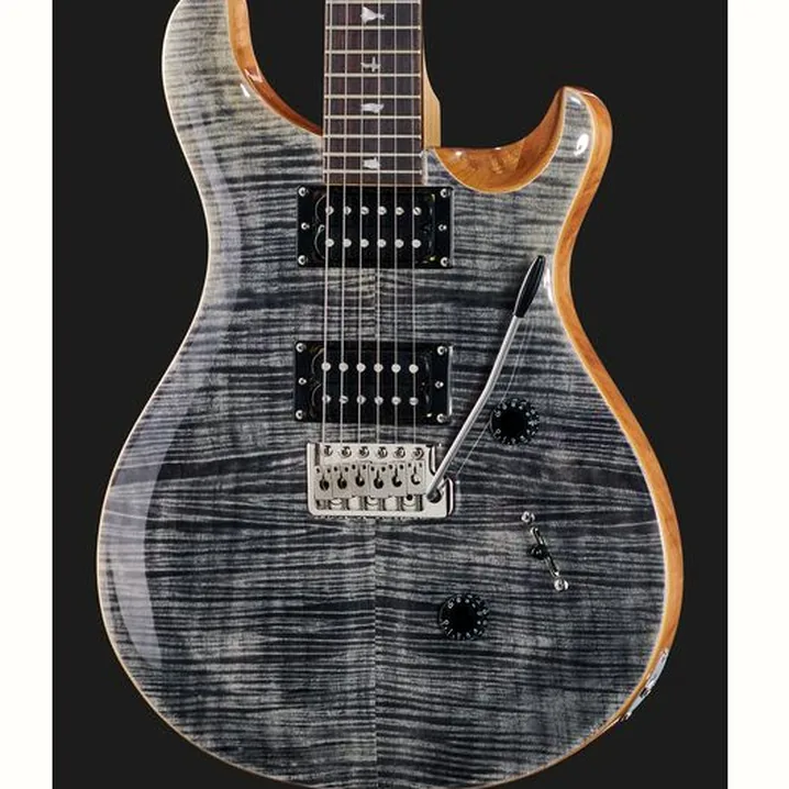 Chitarra PRS SE Custom 24 CH: Confronto, Test e Recensioni