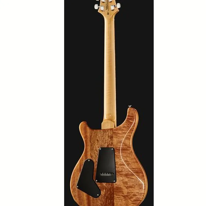 Chitarra PRS SE Custom 24 CH: Confronto, Test e Recensioni