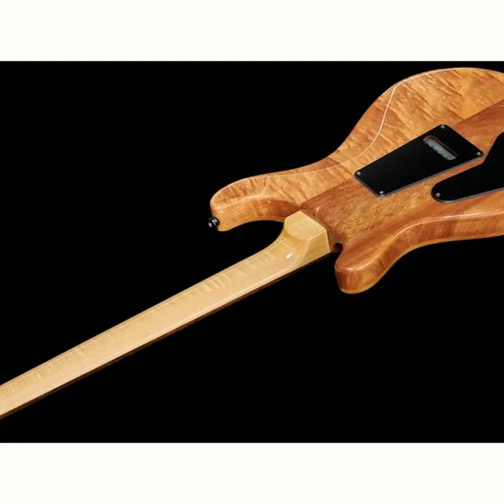Chitarra PRS SE Custom 24 CH: Confronto, Test e Recensioni