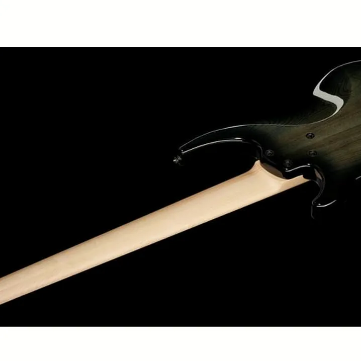 Dingwall CB3 Combustion 5 Black Burst Confronto, Recensioni e Test