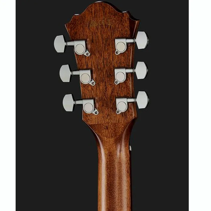 Ibanez AE295-LGS Test, Comparativo, Recensioni