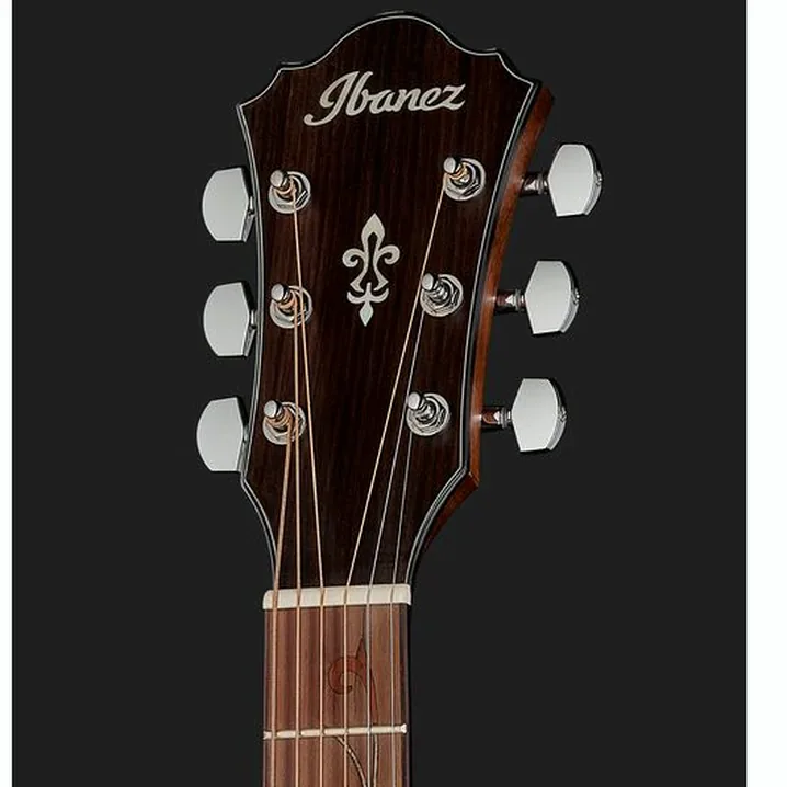 Ibanez AE295-LGS Test, Comparativo, Recensioni