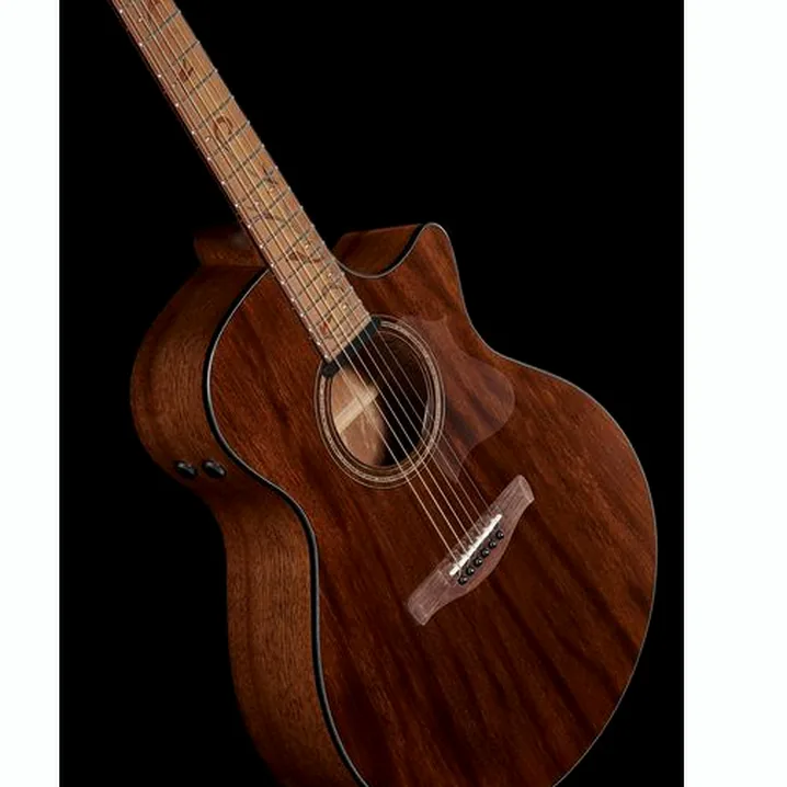 Ibanez AE295-LGS Test, Comparativo, Recensioni