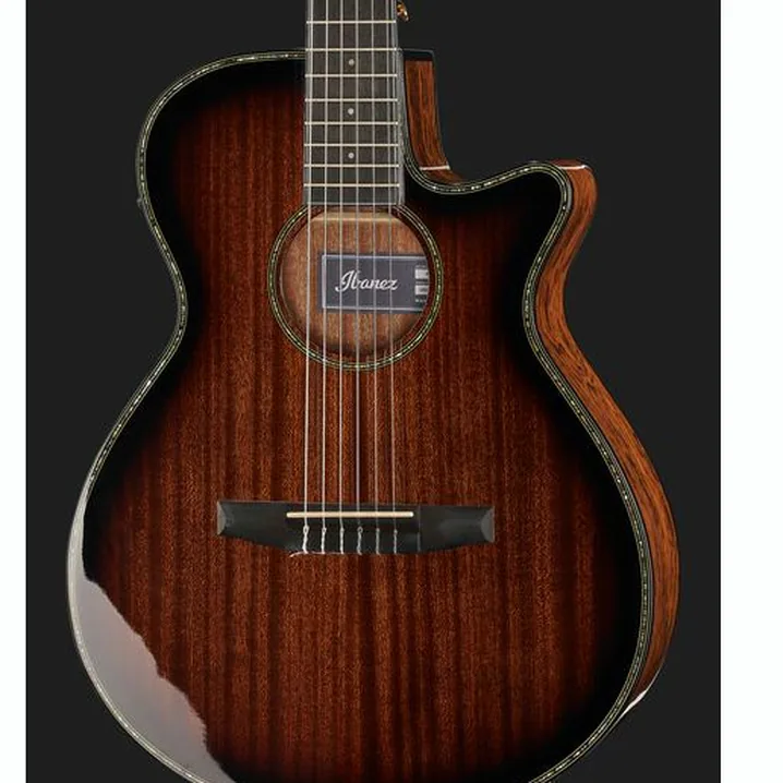 Ibanez AEG74N-MHS: Test e Recensioni
