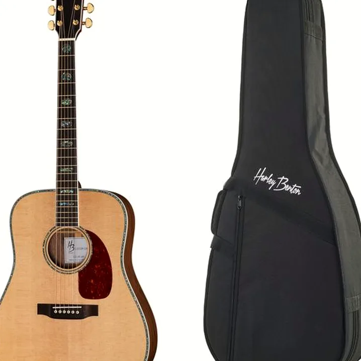 La chitarra acustica Harley Benton Custom Line CLD-41S WN W/Case Recensione, Confronto, Test