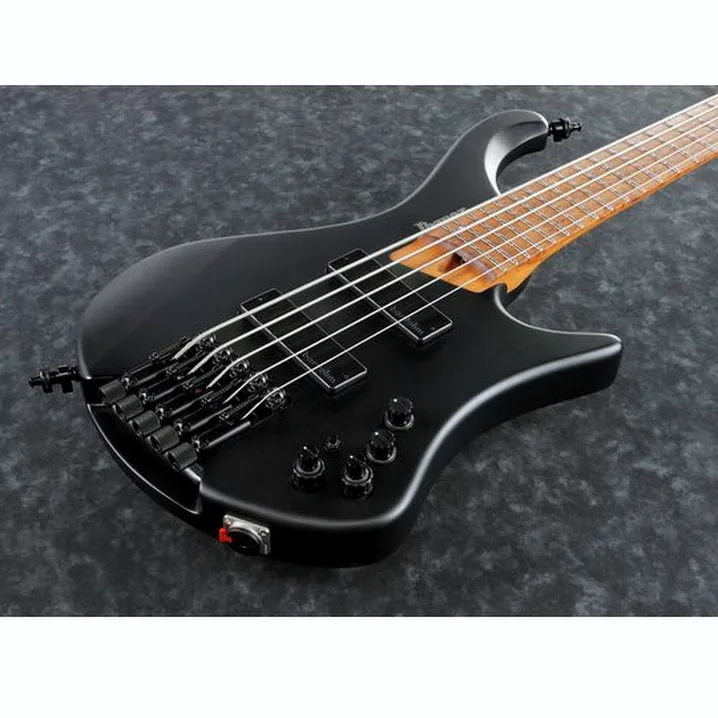 Il basso elettrico Ibanez EHB1005-BKF Recensione, Confronto, Test