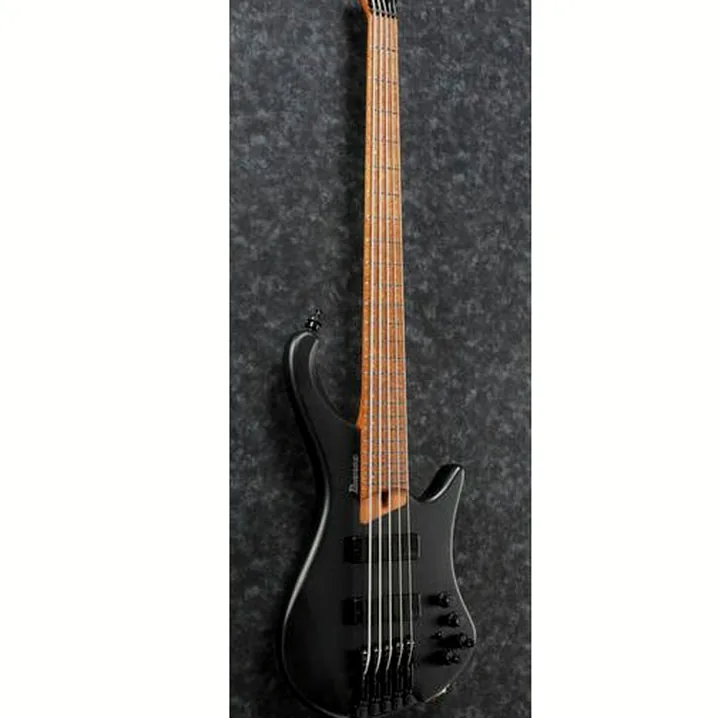 Il basso elettrico Ibanez EHB1005-BKF Recensione, Confronto, Test