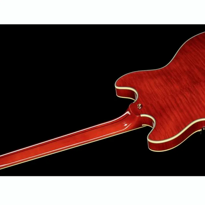 La chitarra elettrica DAngelico Excel DC Viola Recensione, Test & Confronto