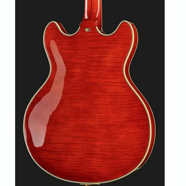 La chitarra elettrica DAngelico Excel DC Viola Recensione, Test & Confronto