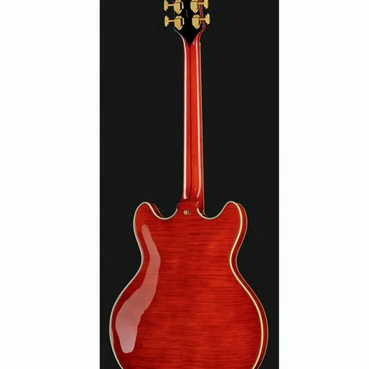 La chitarra elettrica DAngelico Excel DC Viola Recensione, Test & Confronto