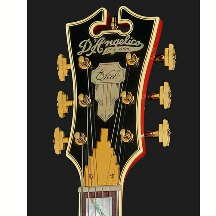 La chitarra elettrica DAngelico Excel DC Viola Recensione, Test & Confronto