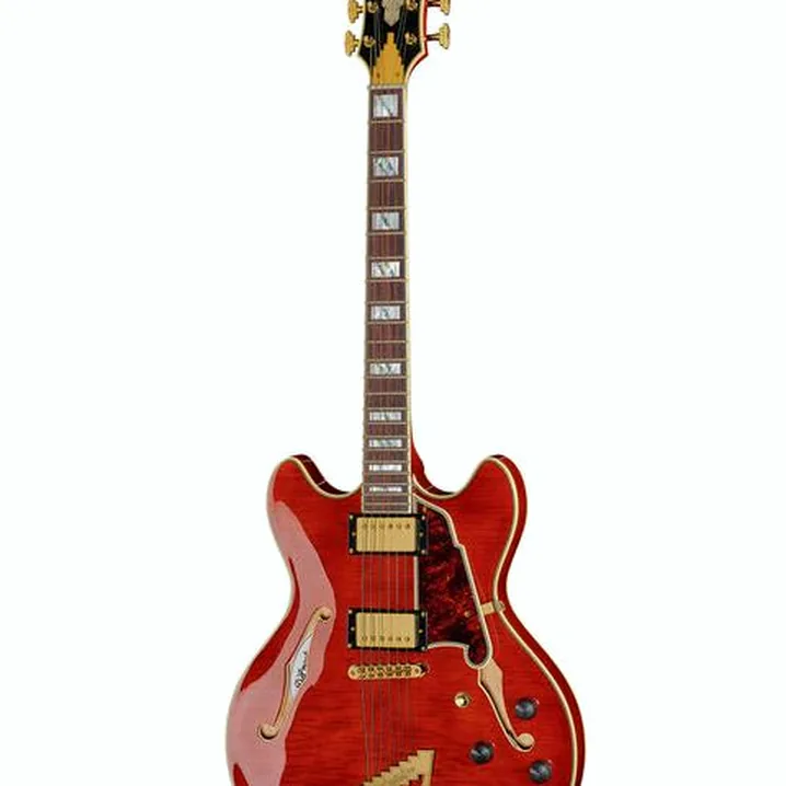 La chitarra elettrica DAngelico Excel DC Viola Recensione, Test & Confronto