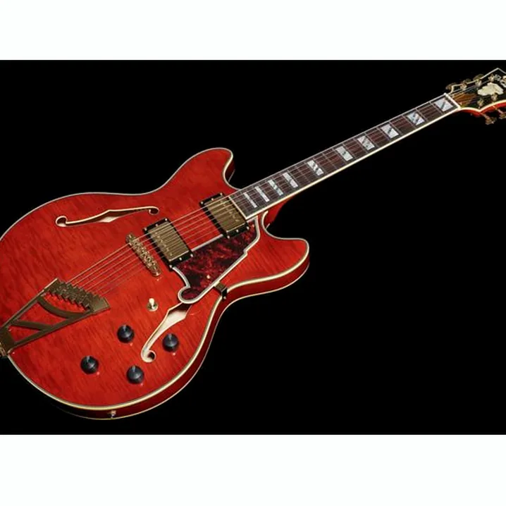 La chitarra elettrica DAngelico Excel DC Viola Recensione, Test & Confronto
