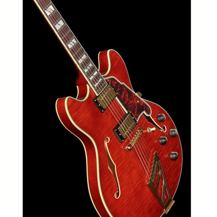 La chitarra elettrica DAngelico Excel DC Viola Recensione, Test & Confronto