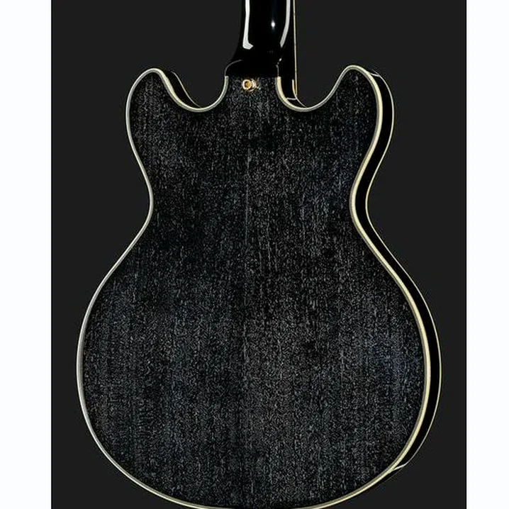 La chitarra elettrica DAngelico Excel Mini DC Black Dog / Recensione, Confronto & Test