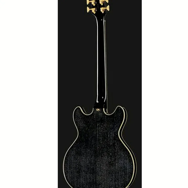 La chitarra elettrica DAngelico Excel Mini DC Black Dog / Recensione, Confronto & Test