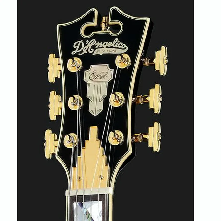 La chitarra elettrica DAngelico Excel Mini DC Black Dog / Recensione, Confronto & Test