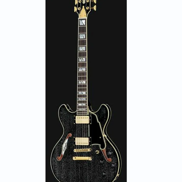 La chitarra elettrica DAngelico Excel Mini DC Black Dog / Recensione, Confronto & Test